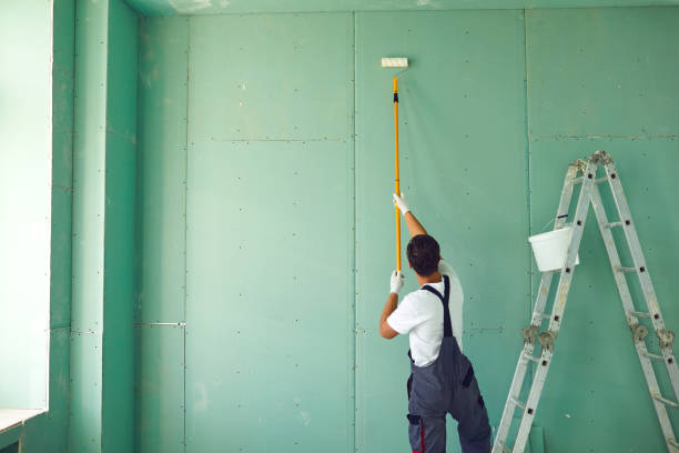 Professional Mold Removal in Harbor Hills, OH