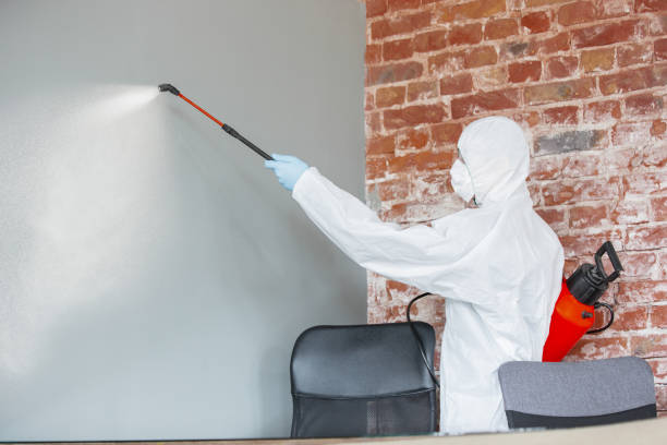 Best Mold Prevention Services  in Harbor Hills, OH