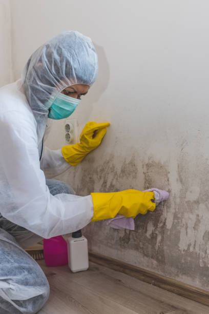 Best Commercial Mold Inspection  in Harbor Hills, OH