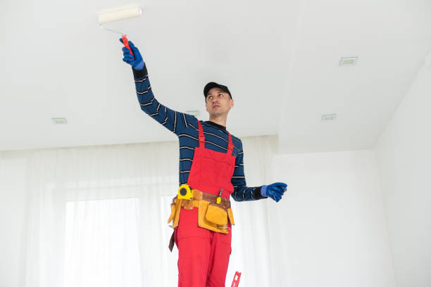 Best Post-Remediation Verification Testing  in Harbor Hills, OH